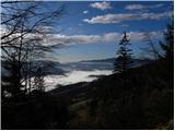 Podmeja - Črni vrh (Čemšeniška planina)